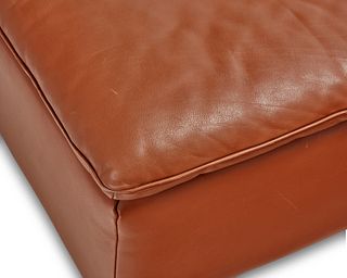 A pair of De Sede DS 49 leather ottomans for Stendig