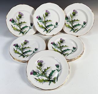 10 ROSLYN BONE CHINA FLORAL THISTLE PATTERN PLATES