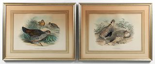 2 John Gould hand colored lithos Game Birds