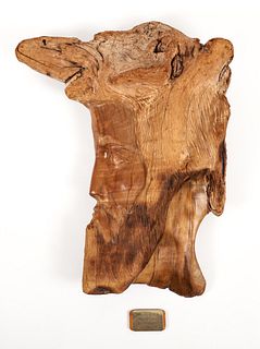 Luis Antonio Driftwood Sculpture The Teacher 
