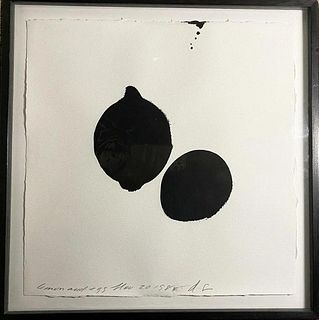 Donald Sultan 'Lemon and Egg 1985' Ink on Arches Paper