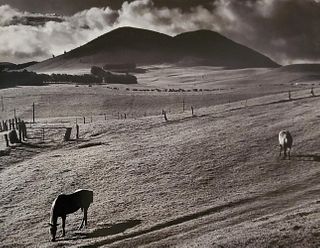 Brett Weston, Kahua Ranch 1985