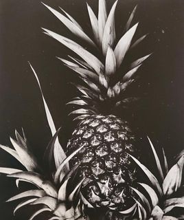 Brett Weston, Pineapple, Paradise Park 1991