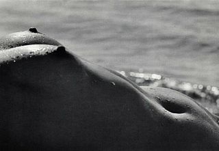 LUCIEN CLERGUE - Female Nude Wet Breast, 1960s