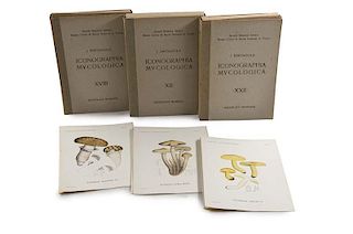 Bresadola, Giacomo
Mykologie. - Iconographia mycologica ed supplementa. I-XXIX. Mit 1471 farbigen lith. Tafeln. Mailand u. Tr