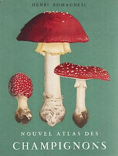 Romagnesi, Henri
Mykologie. - Nouvel Atlas des Champignons. Publie sous les auspices de la Société Mycologique de France. 4