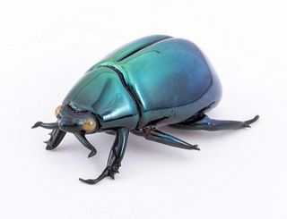 Signed Studio Art Glass Beetle Sculpture