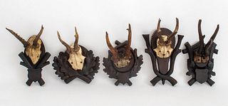Group of five stag's heads or hunting trophies, each with a pair of deer antlers mounted on various carved wood wall base. Largest: 12" H x 7" W x 7" 