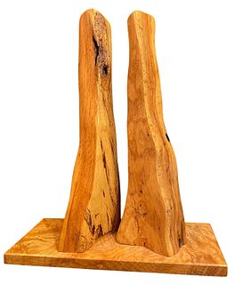 Abstract Polished Driftwood Sculpture 