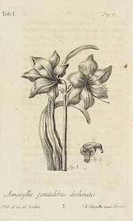 Hill, JohnEntwurf eines Lehrgebaeudes von Erzugung der Pflanzen von D.J. Hill. Mit 5 gestochenen Kupfertafeln und Holzschnit