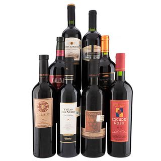 Lote de Vinos Tintos de España, Chile y Argentina. Viñas del Vero. En presentaciones de 750 ml. Total de piezas: 8.