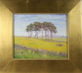 Rob Head Oil on Canvas "Miacomet Spring"