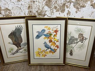 Albert Gilbert Bird Prints