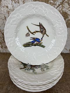 Audubon Plates