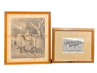 Two Vintage Cow Prints After EDWARD DOUGLAS