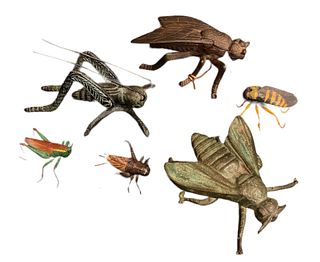 Collection Vintage Insect Statues 