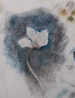 Julien Binford Floral Pastel on Paper