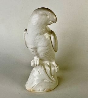 Parrot White Salt Glaze