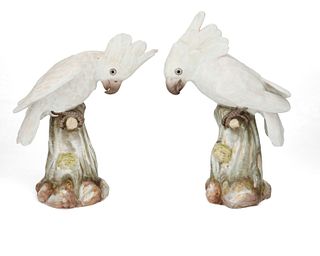 A pair of Meissen porcelain cockatoo figures