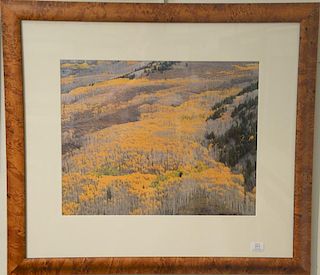 Christopher Burkett (1951) 
Cibachrome 
Elk Mountain
signed in pencil lower right 
sight size 18" x 23"