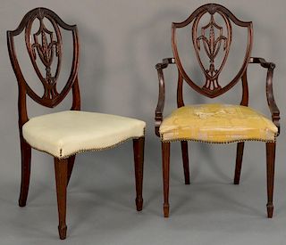 Set of six Margolis Federal style dining chairs having shield backs with carved plume, four including one armchair and five s
