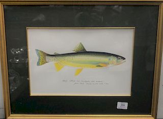 James Prosek (b. 1976) watercolor on paper "Yellowfin Cutthroat Trout" (oncorhynchus clarki mac donaldi) signed and title