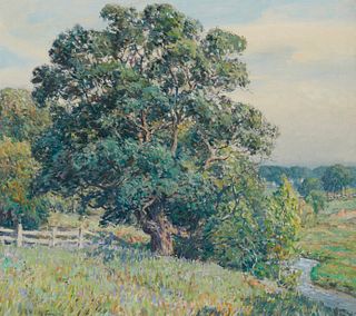 Wilson Irvine (1869-1936), View of an oak tree, Oil on canvas, 24" H x 27" W