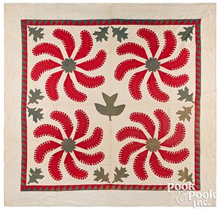Pennsylvania Princess Feather appliqué quilt
