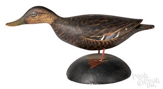 A. Elmer Crowell, painted black duck decoy