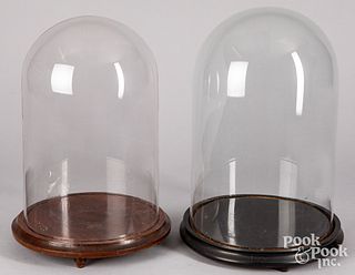 Two glass cloches