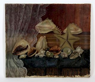 Oil on canvas still life with shells
