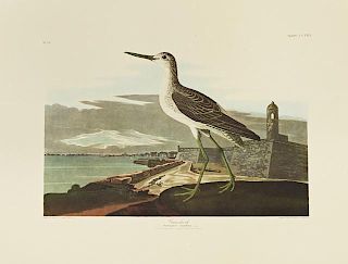 John James Audubon (1785-1851), "Greenshank," No.