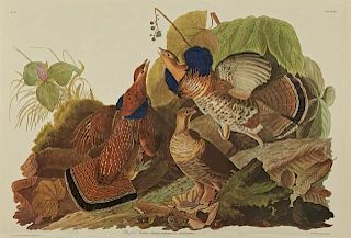 John James Audubon (1785-1851), "Ruffed Grouse," N