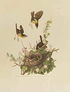 John James Audubon (1785-1851), "Yellow-breasted C