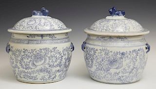 Pair of Chinese Blue and White Porcelain Covered P