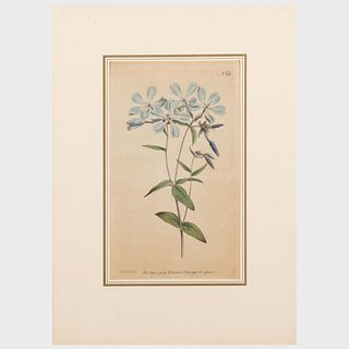 William Curtis (1746-1799): Botanicals: Four Plates