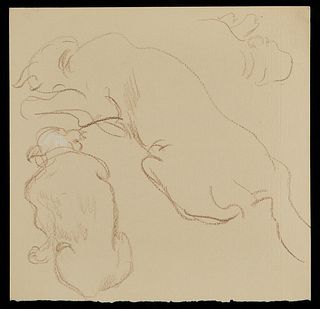 Paul Cadmus Animal Sketch Crayon on Paper