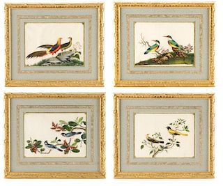 Collection of 4 Pith Paper Paintings After Tingqua