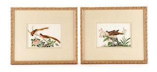 Collection of Two 19th Century Pith Paintings