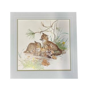 Glen Loates' "Fox Kits" Limited Edition Print