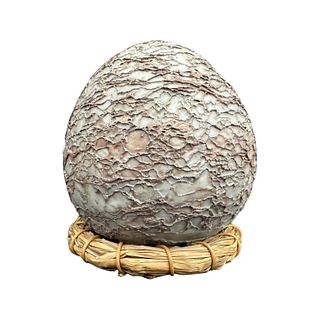 Segnosaur Dinosaur Egg