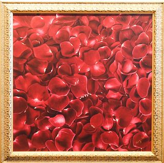 Vangelis "American Beauty" Limited Edition Giclee