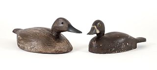 Two Canvasback Hen Decoys St. Clair Flats Michigan