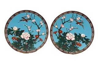 Pair of Cloisonne Enamel Plates, Bird Amid Flowers