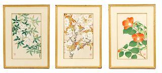 Group of 3 Kawarazaki Shodo Botanical Woodcuts