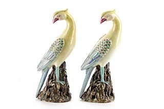 Pair of Chinese Export Porcelain Cockatoos