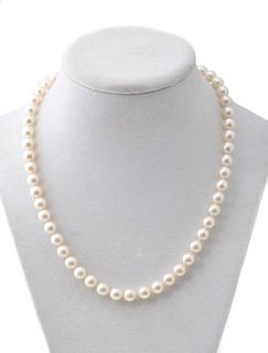 Ladies Salt Water Akoya Cultured Pearl Necklace