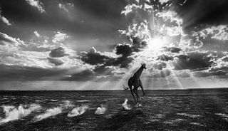 David Yarrow, Heaven Can Wait, 2014 Signed & Numbered Ap