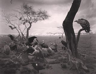 HIROSHI SUGIMOTO, Hyena-Jackal-Vulture, 1976