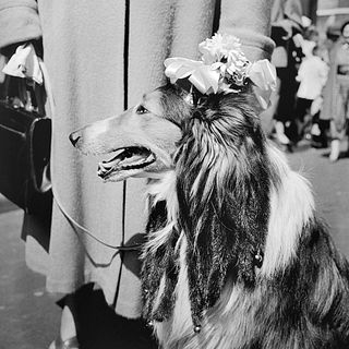 Vivian Maier, New York, April 1955